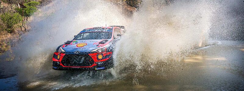 Platz zwei für Ott Tänak und Hyundai bei verkürzter Rallye Mexiko